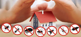 Residential Pest Control Melbourne