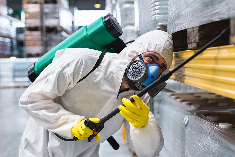 pest control Croydon