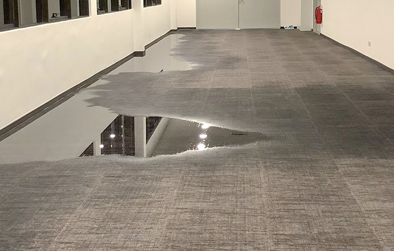 water damage carpet restoration Sydney